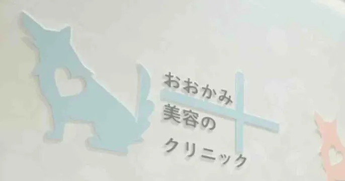 おおかみ美容のクリニックのクリニック院内風景アイキャッチ画像