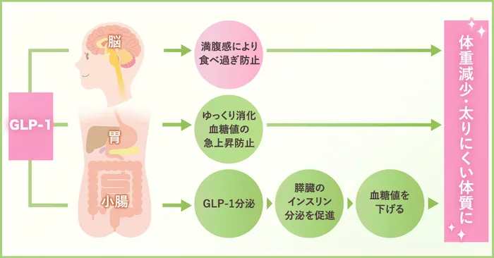 【GLP-1とは】ダイエット効果は高いけど副作用が怖いって本当？おすすめクリニックもランキング形式で発表