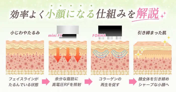 効果のロジック